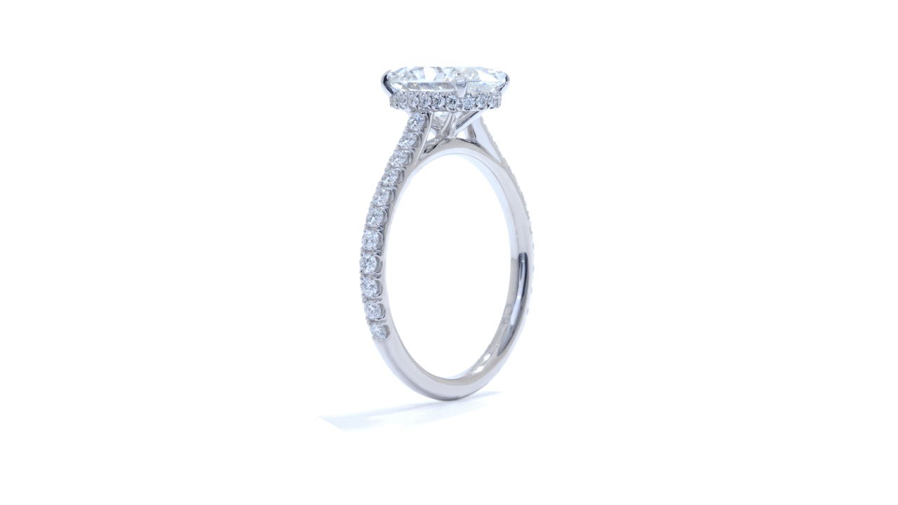 jb9034_lgdp2316 - Cathedral Style Hidden Halo Engagement Ring at Ascot Diamonds