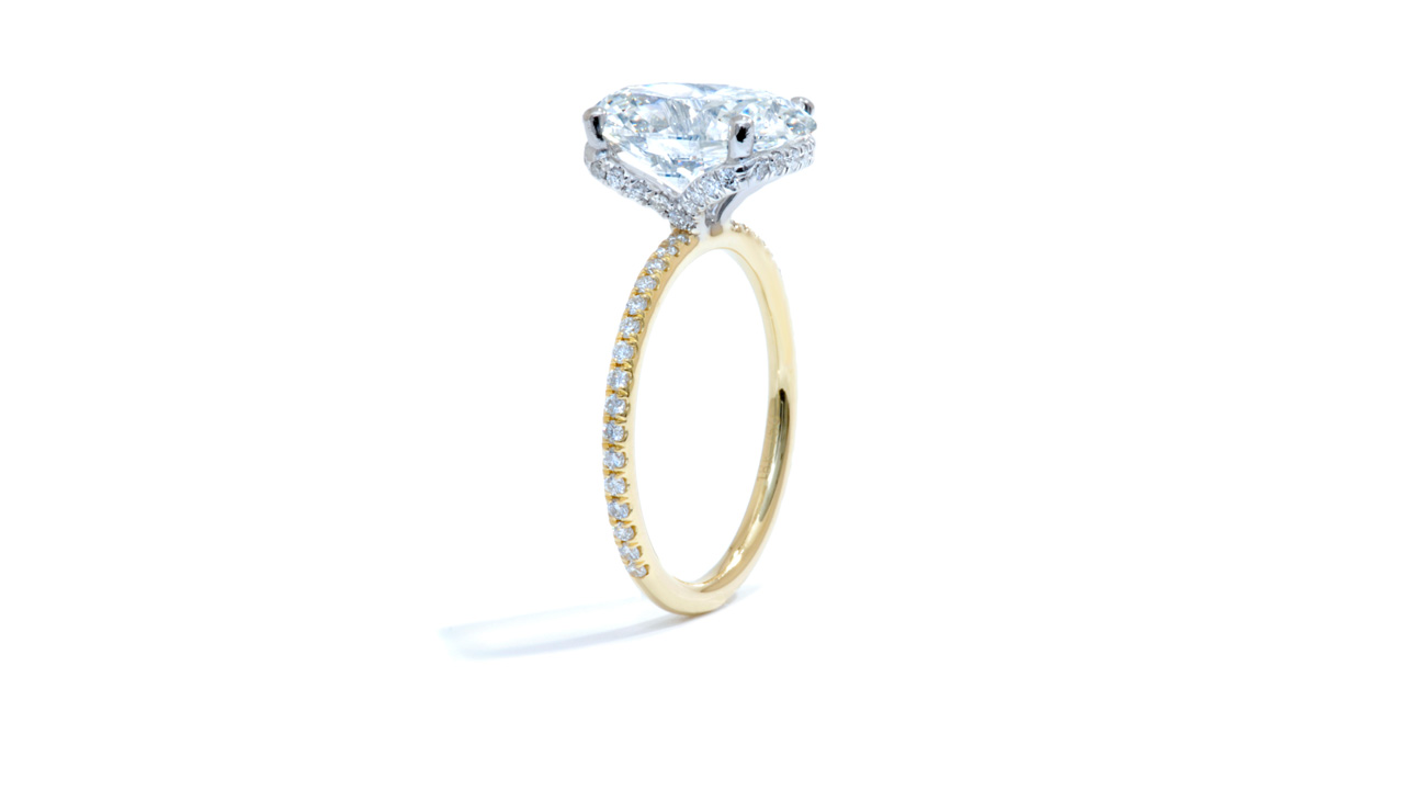 jc2864_lgdp2589 - Hidden Halo | Oval Engagement Ring at Ascot Diamonds
