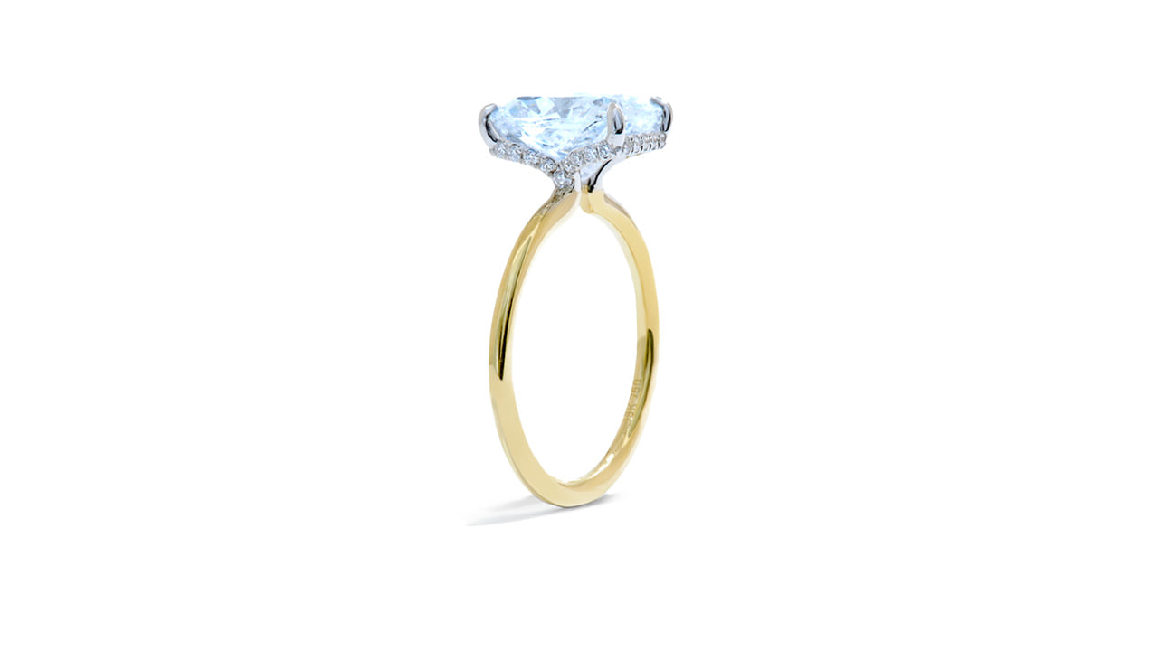 jc3600_lgdp2887 - 3ct Cushion Cut Hidden Halo Engagement Ring at Ascot Diamonds