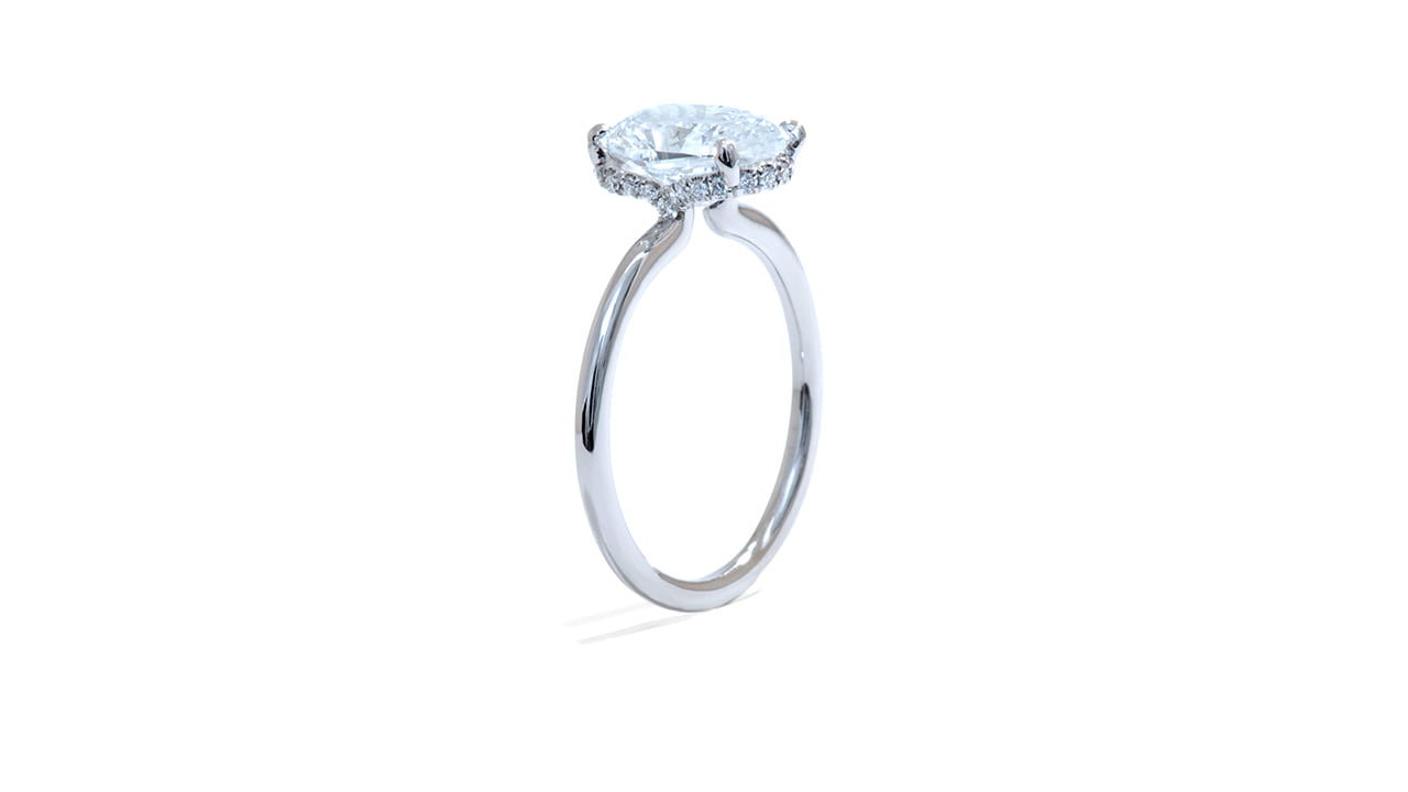 jc3980_lgdp3884 - Platinum Hidden Halo Engagement Ring at Ascot Diamonds