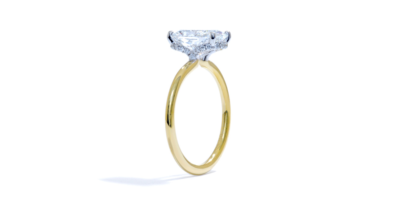 jc5685_lgdp1864 - Ascot Hidden Halo | 3.74 ct. Oval Diamond at Ascot Diamonds