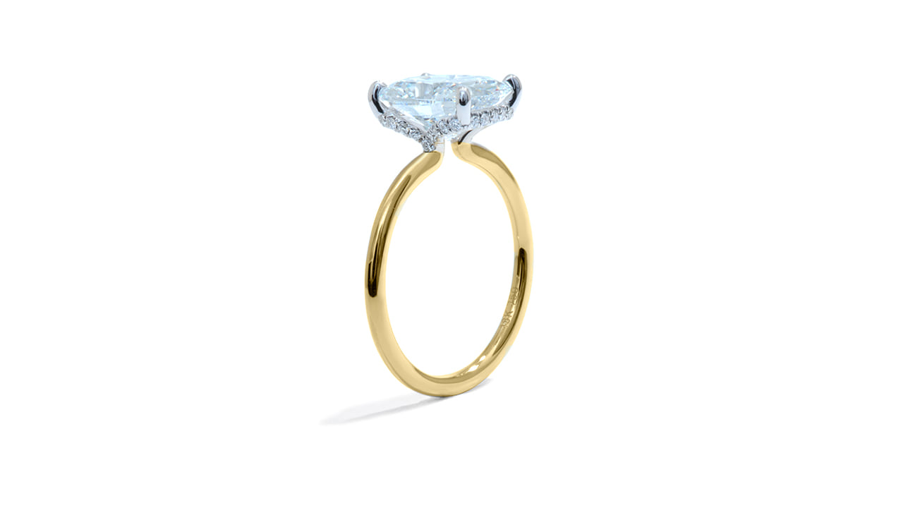 jc5827_lgdp3655 - 2.87ct Cushion Cut Engagement Ring at Ascot Diamonds