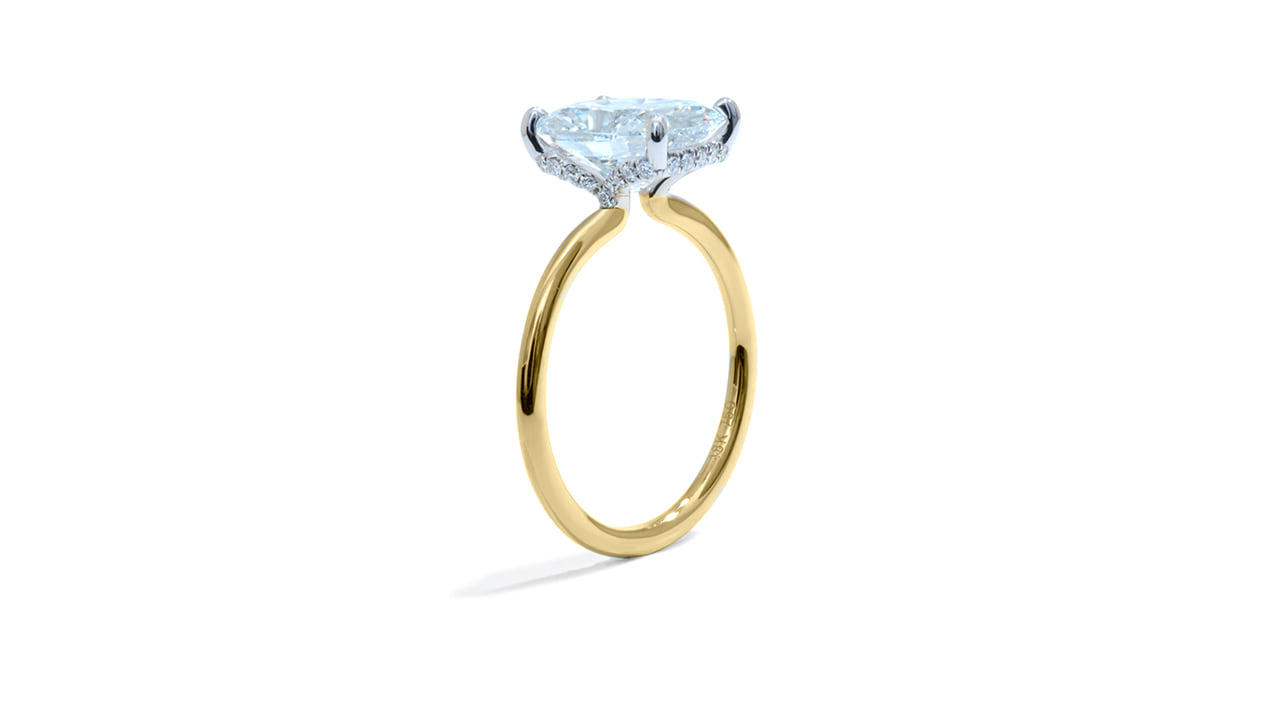 jc5831_lgdp3726 - 2.98 ct. Elongated Cushion Solitaire Ring at Ascot Diamonds