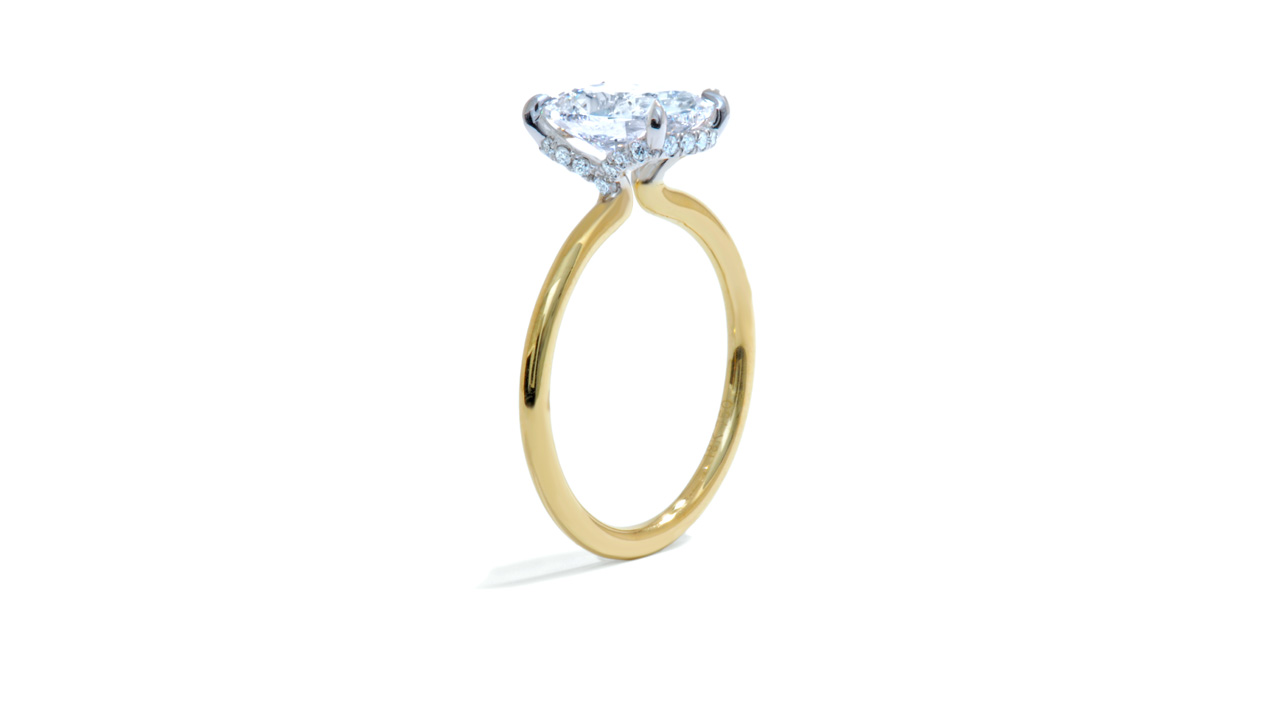 jc5834_lgdp3888 - 2.4 ct. Elongated Cushion Cut Diamond Ring at Ascot Diamonds