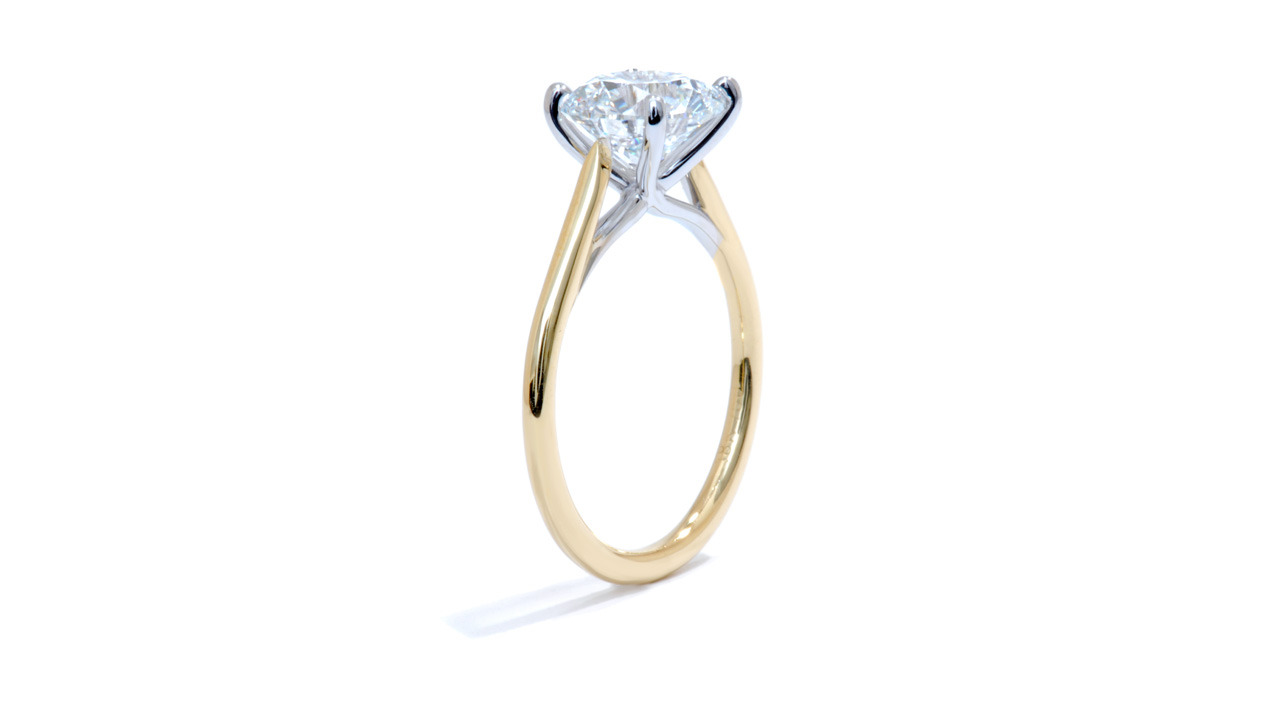jc7097_lgdp4068 - Cathedral Solitaire Round Engagement Ring at Ascot Diamonds
